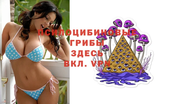 не бодяженный Алексин
